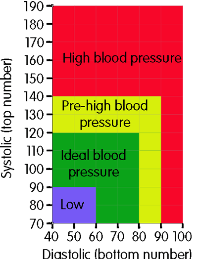 bp chart